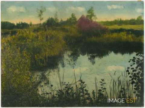 Paysage au bord d'un cours d'eau