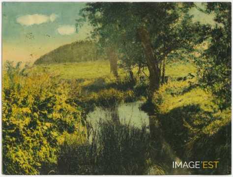 Ruisseau
