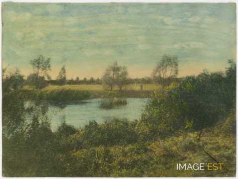 Paysage au bord d'un cours d'eau