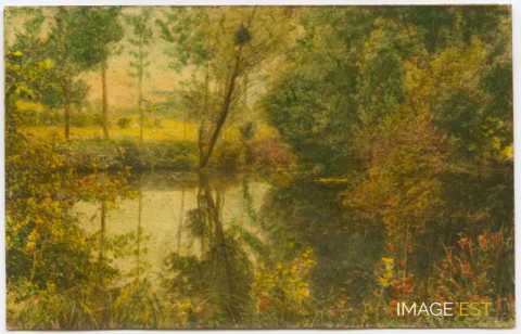 Paysage au bord d'un cours d'eau