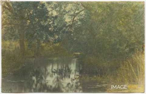 Paysage au bord d'un cours d'eau