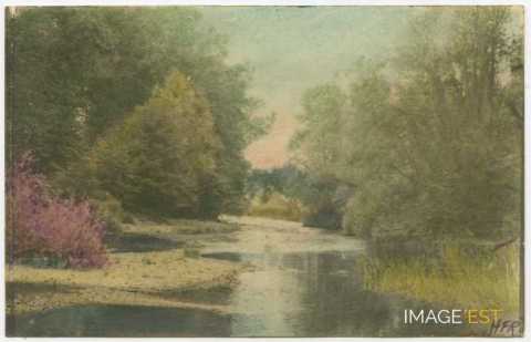 Paysage au bord d'un cours d'eau