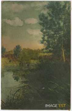 Paysage au bord d'un cours d'eau