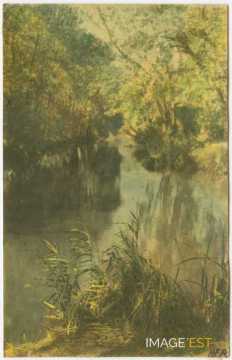 Paysage au bord d'un cours d'eau