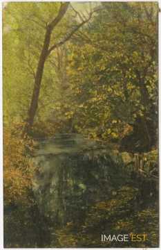 Paysage au bord d'un cours d'eau