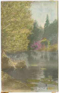 Paysage au bord d'un cours d'eau