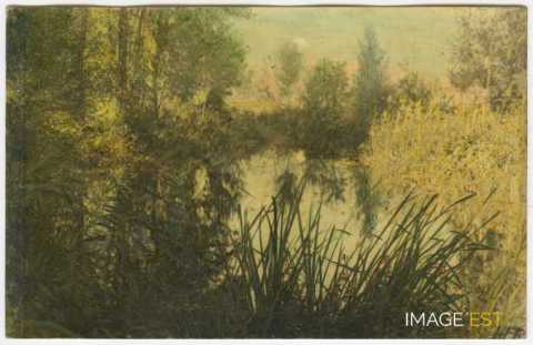 Paysage au bord d'un cours d'eau