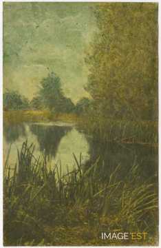 Paysage au bord d'un cours d'eau