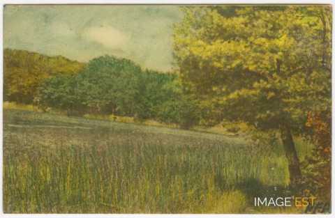 Paysage au bord d'un cours d'eau