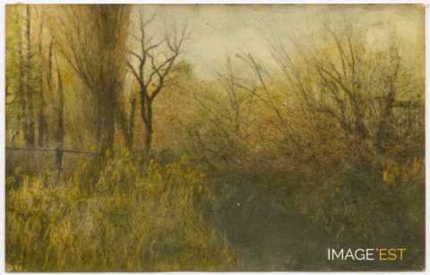 Paysage au bord d'un cours d'eau