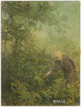 Hylda cueillant un fruit
