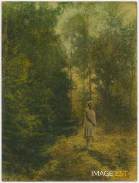 Hylda dans une clairière