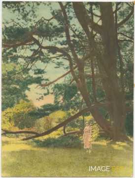 Hylda près d'un arbre