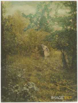 Hylda dans une clairière