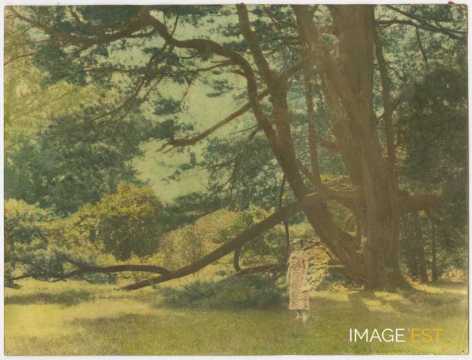 Hylda près d'un arbre