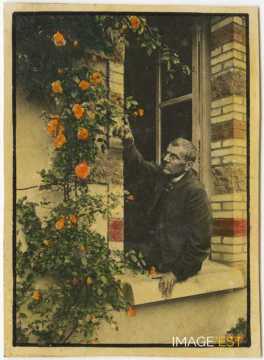 Marie Henri Schaeffer