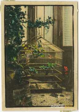 Cage d'oiseaux