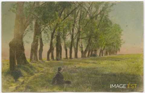 Jean Schaeffer (1888-1918)