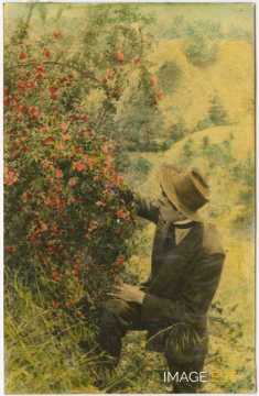 Jean Schaeffer (1888-1918)