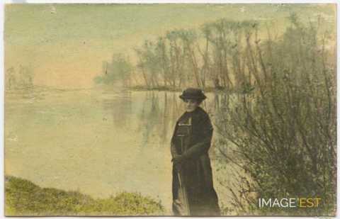 Rose Majorelle (Bouxières-aux-Dames)