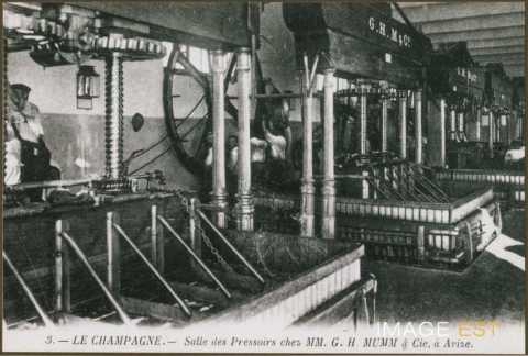 Salle des pressoirs chez MM. G. H. MUMM & Cie (Avize)