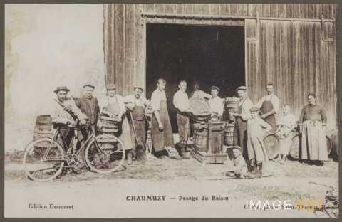 Pesage du raisin (Chaumuzy)