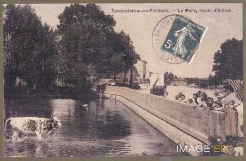La Mare route d'Aulois (Savonnières-en-Perthois)