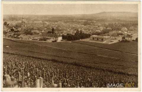Vignoble d'Aÿ