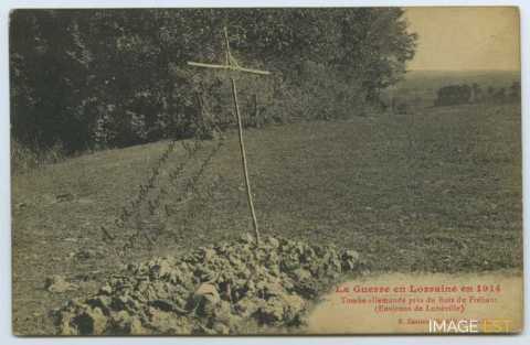 Le Bois du Fréhaut (Hériménil)