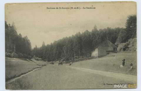Chemin de La Boudouze (Saint-Sauveur)