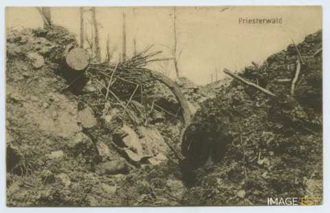 Bois-le-Prêtre (Montauville)