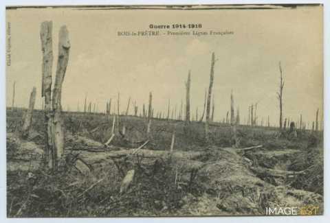Bois-le-Prêtre (Montauville)