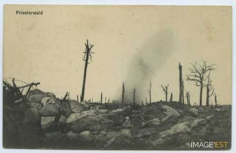 Tranchée dévastée (Montauville)
