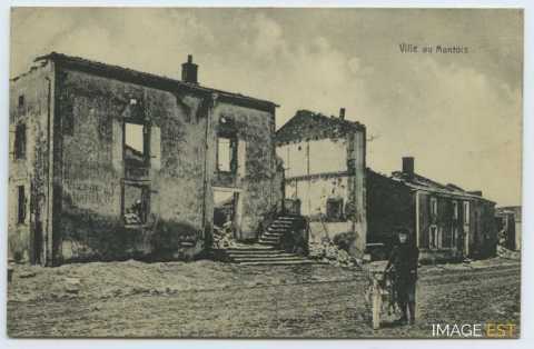 Maisons en ruine (Ville-au-Montois)