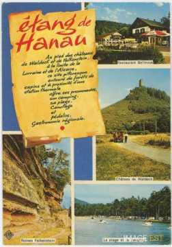 Étang de Hanau (Philippsbourg)