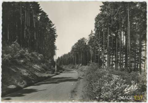 Route (Saint-Nicolas-en-Forêt)