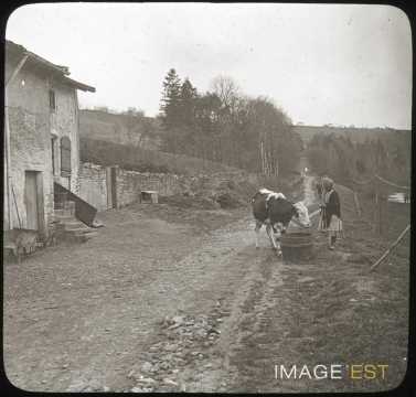 Jeune paysanne (Mirecourt)