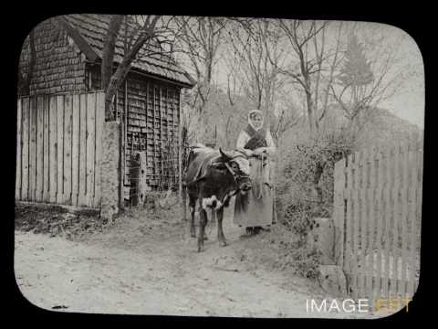 Paysanne et sa vache (Saint-Dié-des-Vosges)