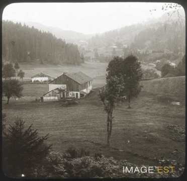 Vallée de Ramberchamp (Gérardmer)