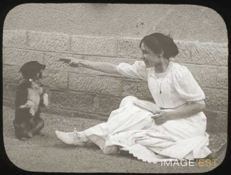 Jeu canin
