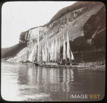 Voiliers (Lac Léman)