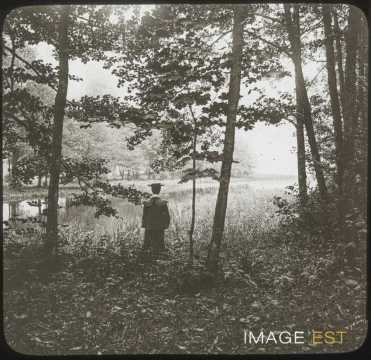 Au bord du lac (Xonrupt-Longemer)