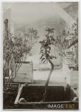 Orangerie de la maison du cocher (Nancy)