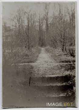 Allée du potager (Nancy)