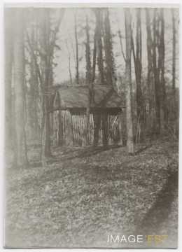 Cabane forestière (Nancy)
