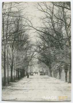 Entrée du parc Sainte-Marie (Nancy)