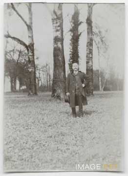 Groupe d'arbres (Nancy)