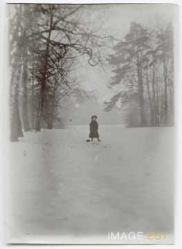 Parc sous la neige (Nancy)