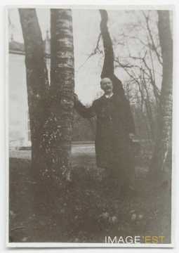 Groupe d'arbres (Nancy)