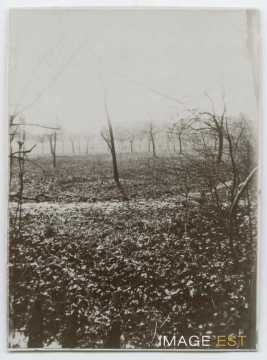 Propriété des Soeurs (Nancy)